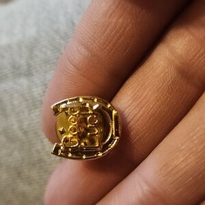 Good Luck Inside Horse Shoe hat/lapel pin vintage